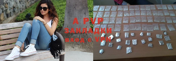 apvp Белокуриха