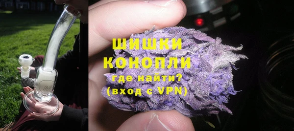 apvp Белокуриха
